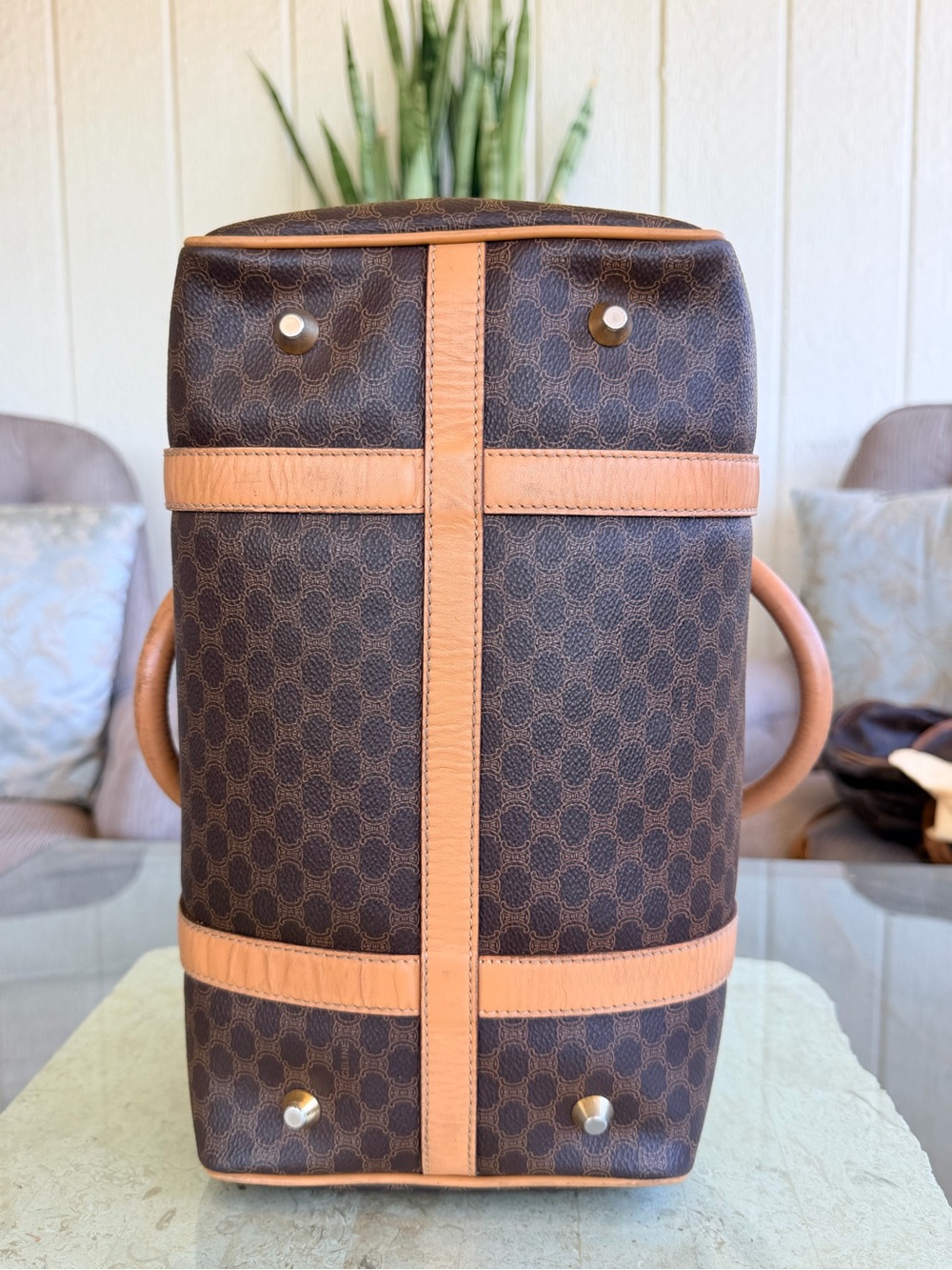 Celine Boston ๐๐๐ - Picture 6 of 8